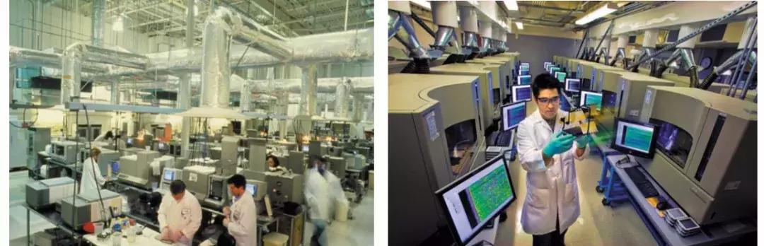 基因重组可以产生新物种吗,基因重组会产生新的基因吗