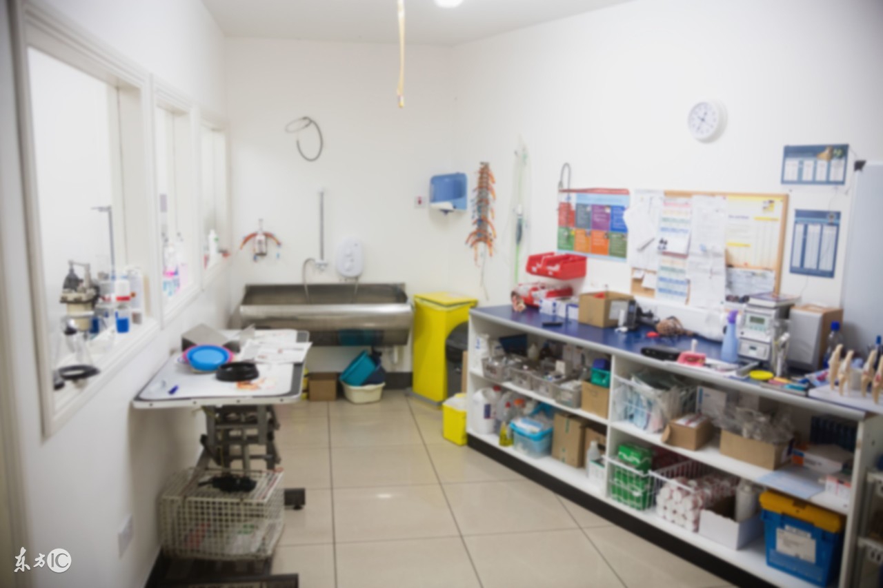 说你愿意为我留下来完整版,说你愿意为我留下来小说