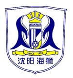 消失的中超球队广州富力,中超江苏苏宁广州富力集锦