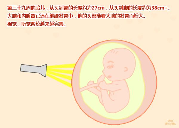 怀孕八个月，孕妇感到胎动减少，老公却说这是正常的