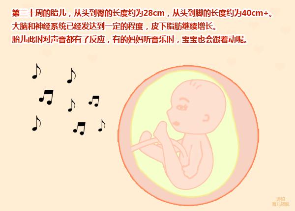 怀孕八个月，孕妇感到胎动减少，老公却说这是正常的