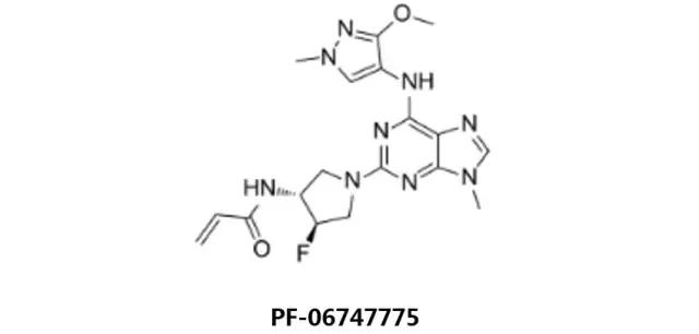 egfr突变非小细胞肺癌临床试验,EGFR肺癌