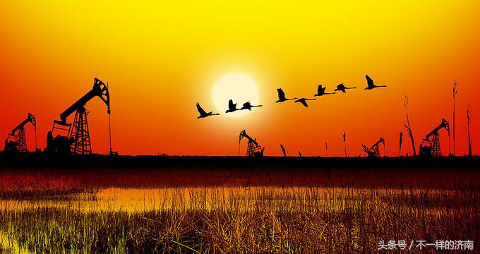 山东区号和车牌,山东省各地市区号大全