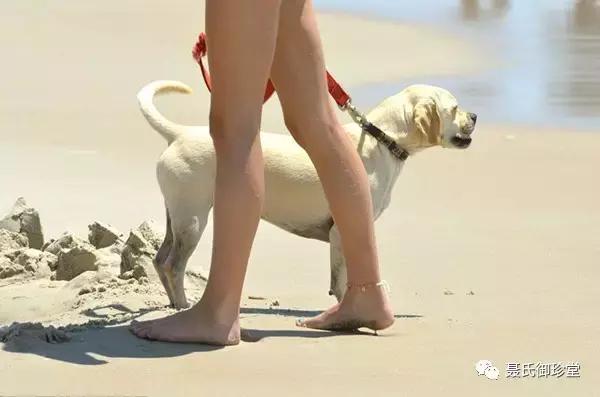 为什么女人一胖就胖肚子和腰部,为什么好多女人胖到没有腰