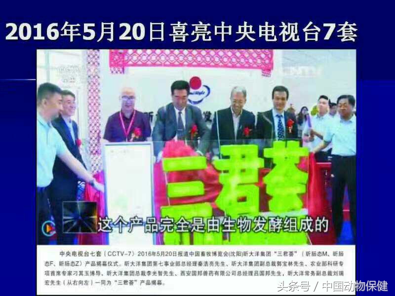 冬季养猪需要关注什么,养猪冬季呼吸道疾病如何预防