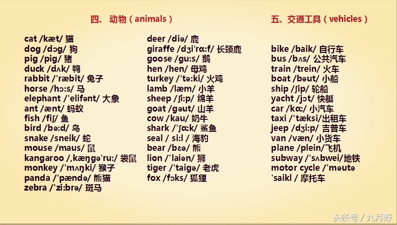 小学英语字母组合背单词,小学英语单词字母组合发音归类