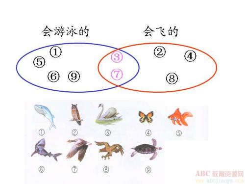 高一数学集合与函数解题技巧,高一数学集合题型大全及解析