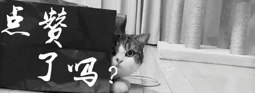 阿胶糕秋冬新鲜出炉,秋冬滋补好时节阿胶糕