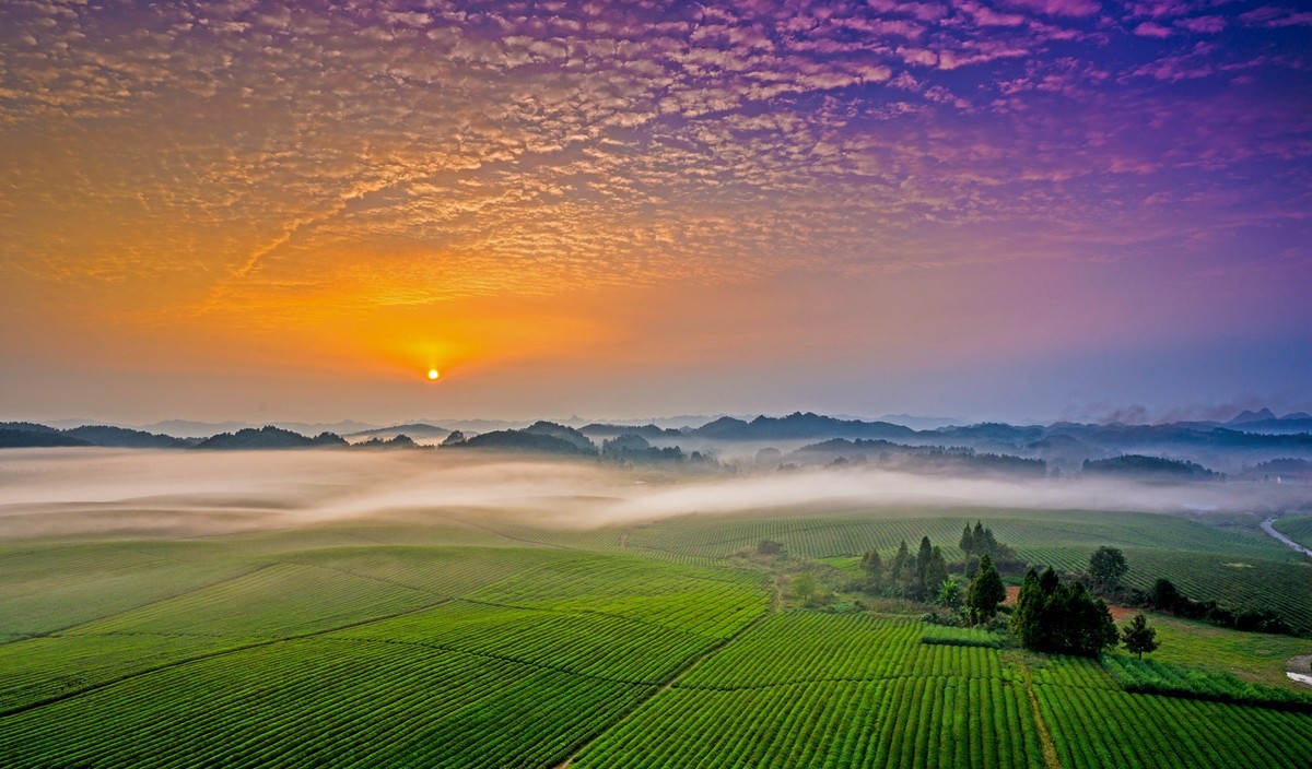 贵州有什么特产值得推荐,贵州贵阳青岩古镇有什么特产