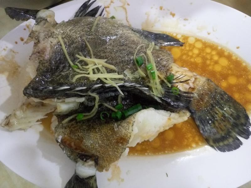 广东省沙扒湾游玩攻略,阳江沙扒湾游记