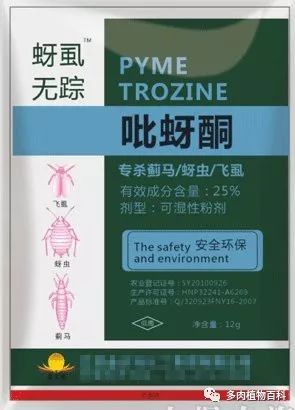 多肉土里长小黑虫子怎么办,多肉小黑飞用什么药