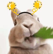 适合干皮肤的隔离霜推荐平价,隔离霜推荐遮瑕底妆