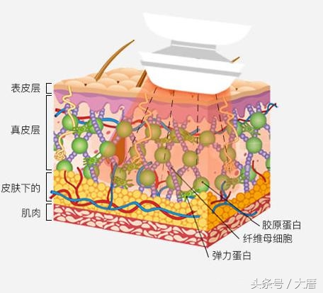 七种网红美容仪,深扒抖音网红美肤