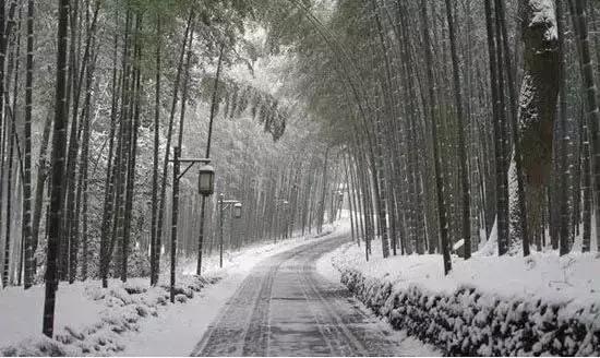 杭州大明山滑雪,杭州的雪什么时候来