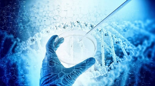 egfr突变非小细胞肺癌临床试验,EGFR肺癌