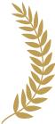 十二星座圣诞节礼物是什么,十二星座圣诞节应该送什么礼物