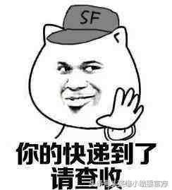 你连小裙子都还没有，可是盒子都开始有皮肤了！羞耻吗？