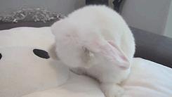 眼睛出现血丝怎么解决,眼睛有血丝发红怎么回事