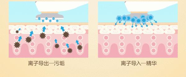 七种网红美容仪,深扒抖音网红美肤