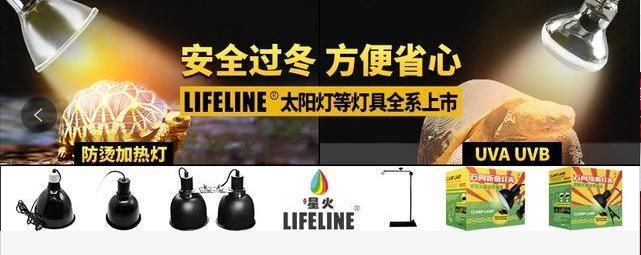 仓鼠饲养八大禁忌仓鼠能活多久,萌新养仓鼠关注事项