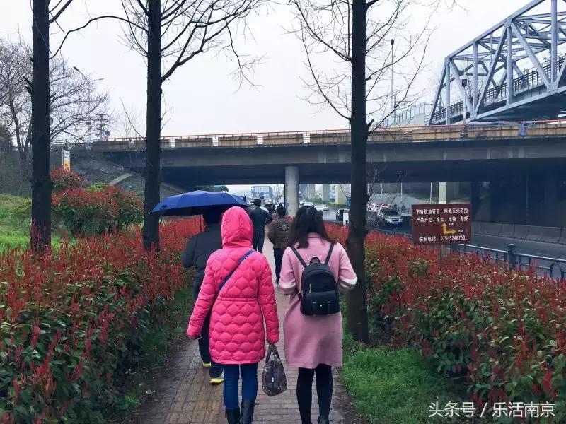 千万别小看那个住在马群的年轻人