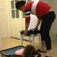 泰迪突然不愿意挨着主人,超级粘人精泰迪