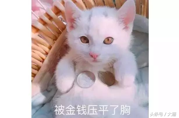 七种网红美容仪,深扒抖音网红美肤