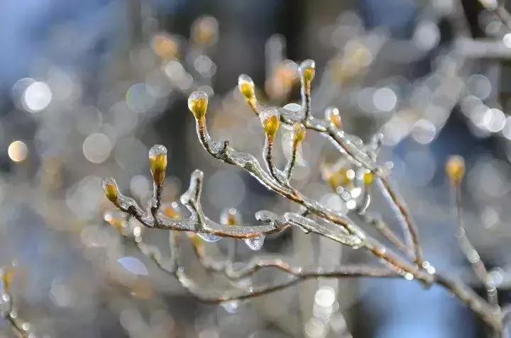 武汉到黄山直达高铁有规划不,武汉到黄山高铁经过泾县吗