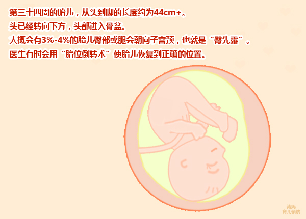 28周孕妇肚子疼发紧发硬怎么回事,孕妇怀孕9个月肚子特别紧