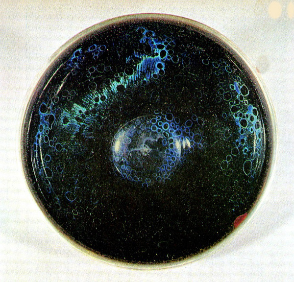 陆金喜陈旭紫砂壶,建盏陈旭