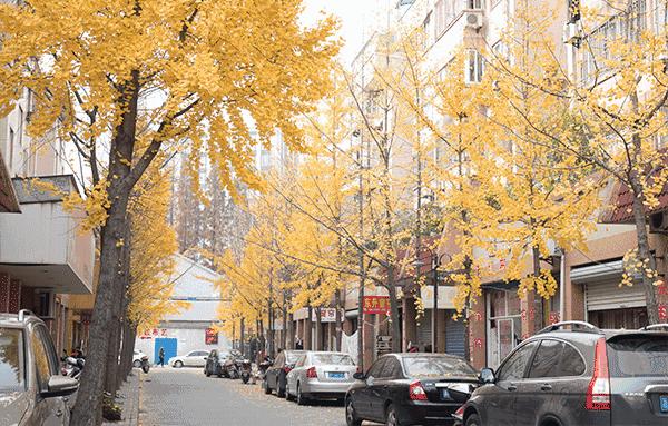 肉蟹煲最正宗的来自哪里,哪的肉蟹煲最好吃