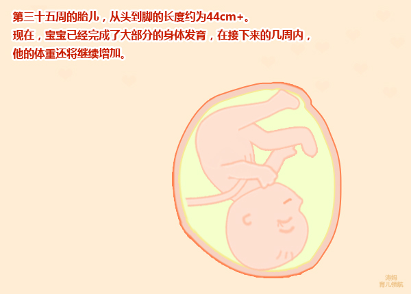 28周孕妇肚子疼发紧发硬怎么回事,孕妇怀孕9个月肚子特别紧