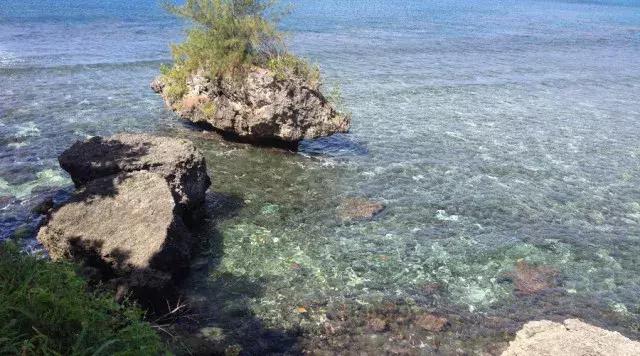 赴美生子塞班岛,赴美生子能去塞班岛吗