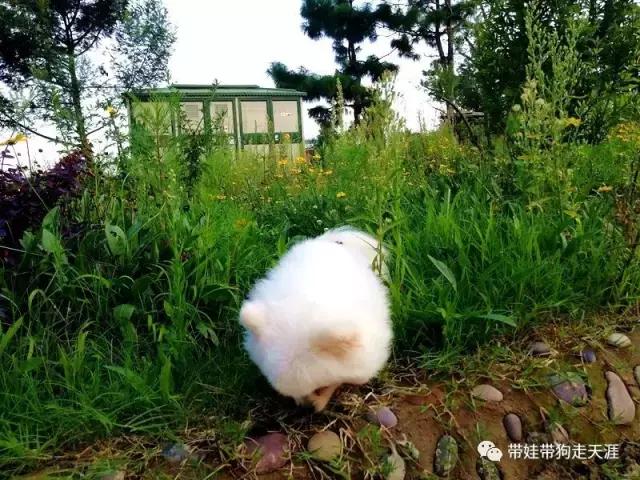 带孩子丽江自驾游,宝妈开着车带熊孩子兜风文案