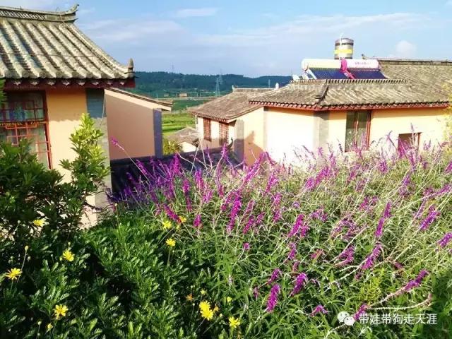 带孩子丽江自驾游,宝妈开着车带熊孩子兜风文案