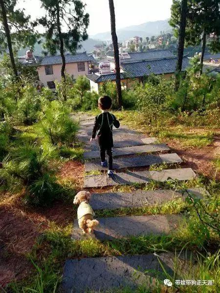 带孩子丽江自驾游,宝妈开着车带熊孩子兜风文案