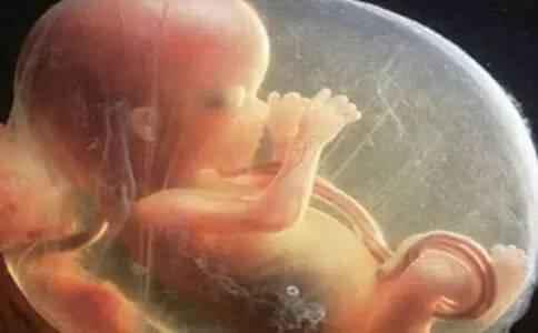 胎动时宝宝一直闲不下来，孕妈妈要读懂宝宝“闹脾气”的这七种胎动