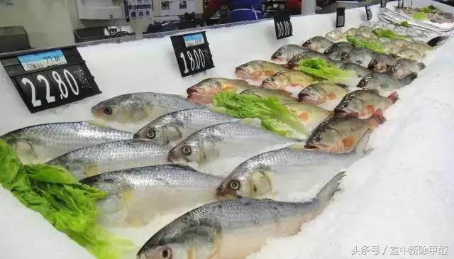 怎么判断海鲜泡过甲醛,如何鉴别甲醛海鲜