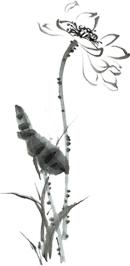 手动微信官方，请赐给我一瓶万能眼霜！