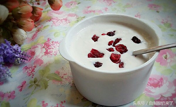 自制酸奶可以用酸奶做引子吗,自制酸奶怎么样做才好吃