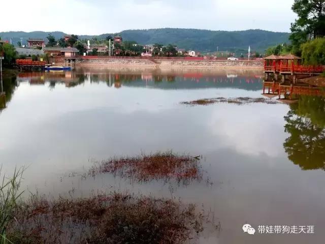 带孩子丽江自驾游,宝妈开着车带熊孩子兜风文案