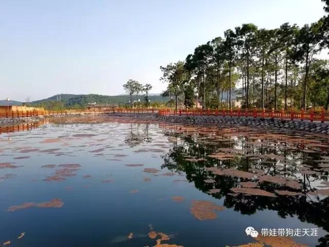 带孩子丽江自驾游,宝妈开着车带熊孩子兜风文案