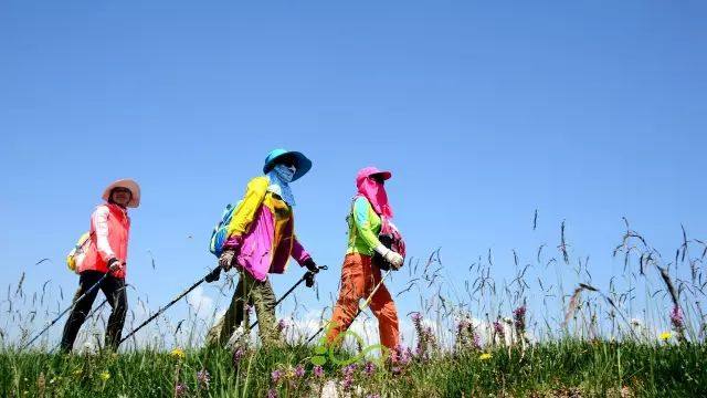 户外野营必备装备清单,户外登山野营旅行用品垂钓装备