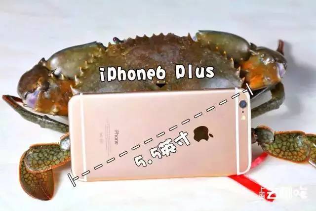 冬天不吃火锅的正确方法,冬天不吃火锅怎么蘸料