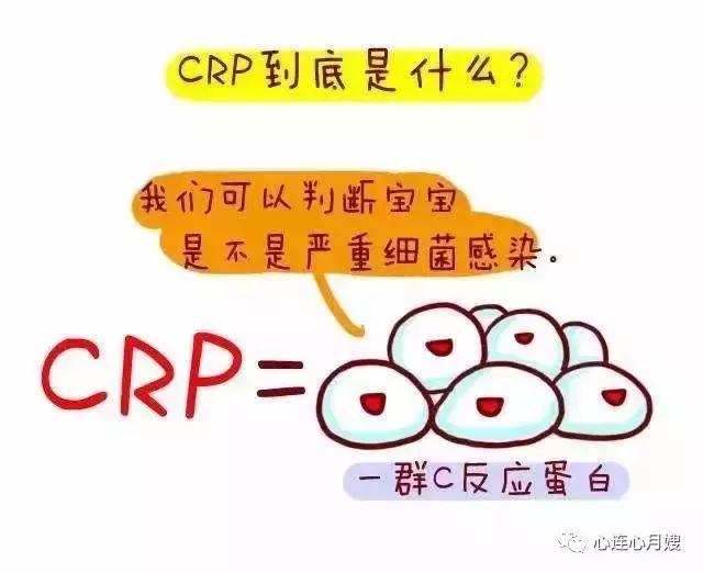 看懂血常规化验单儿童发烧,看懂大人血常规化验单