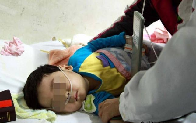 最近好多孩子吃草莓生病的新闻,草莓大量死苗事件