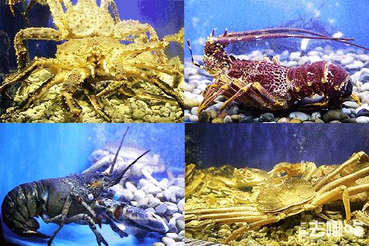 冬天不吃火锅的正确方法,冬天不吃火锅怎么蘸料