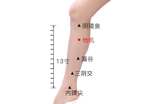 宫寒不孕吃艾附暖宫丸吃多久,宫寒的不孕症状