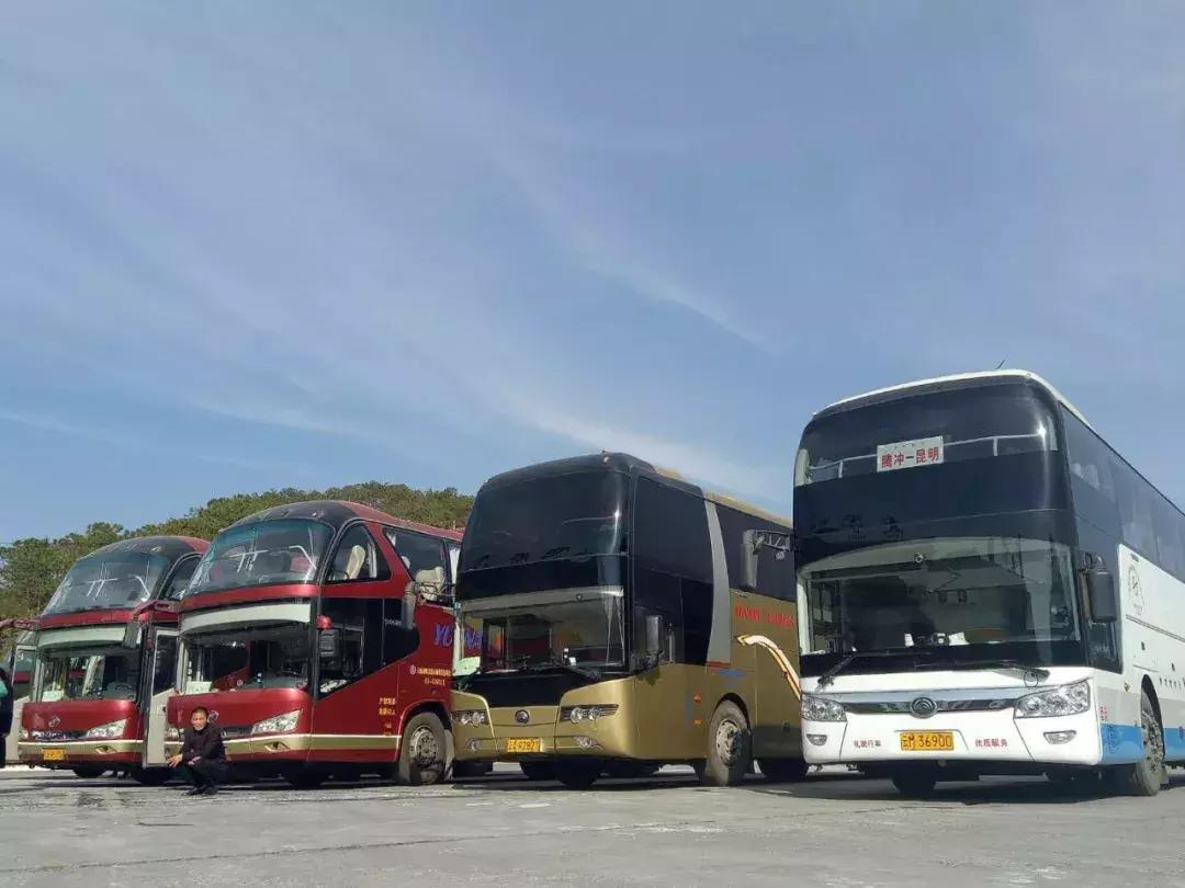 龙润茶加盟官网,龙润茶加盟视频