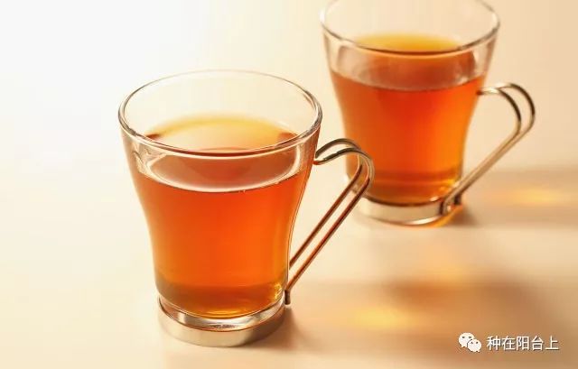 阳台的蔬菜长腻虫怎么办,盆栽蔬菜长虫了怎么办